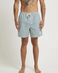 16" Dover Volley Boardshorts