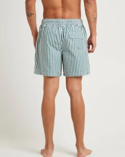 16" Dover Volley Boardshorts