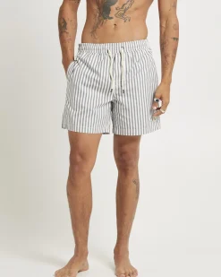 16" Dover Volley Boardshorts
