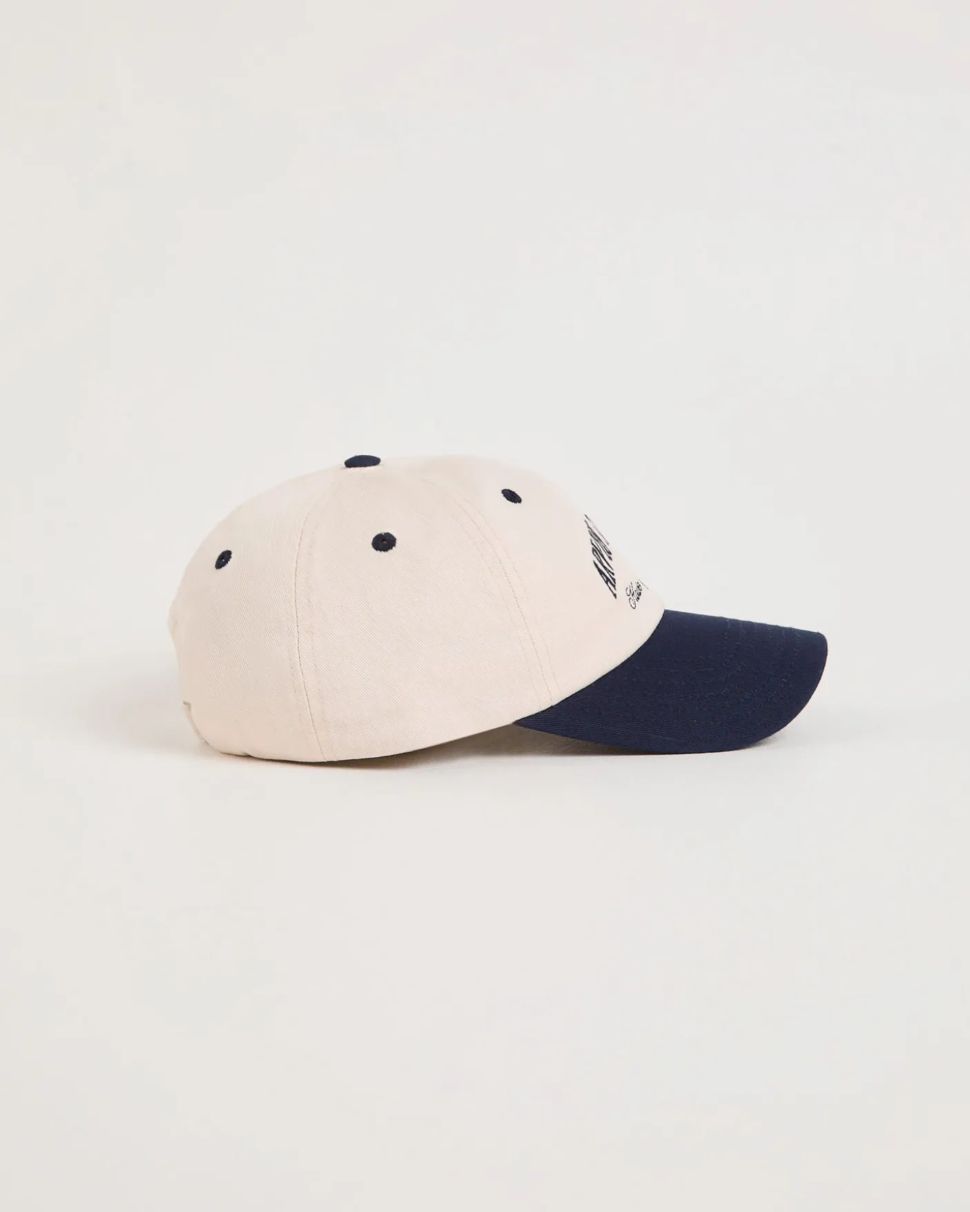Arc Contrast Cap
