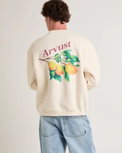 Farmers Market Jumper