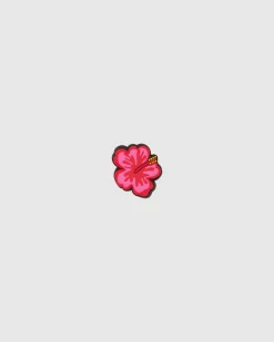 Hibiscus Jibbit