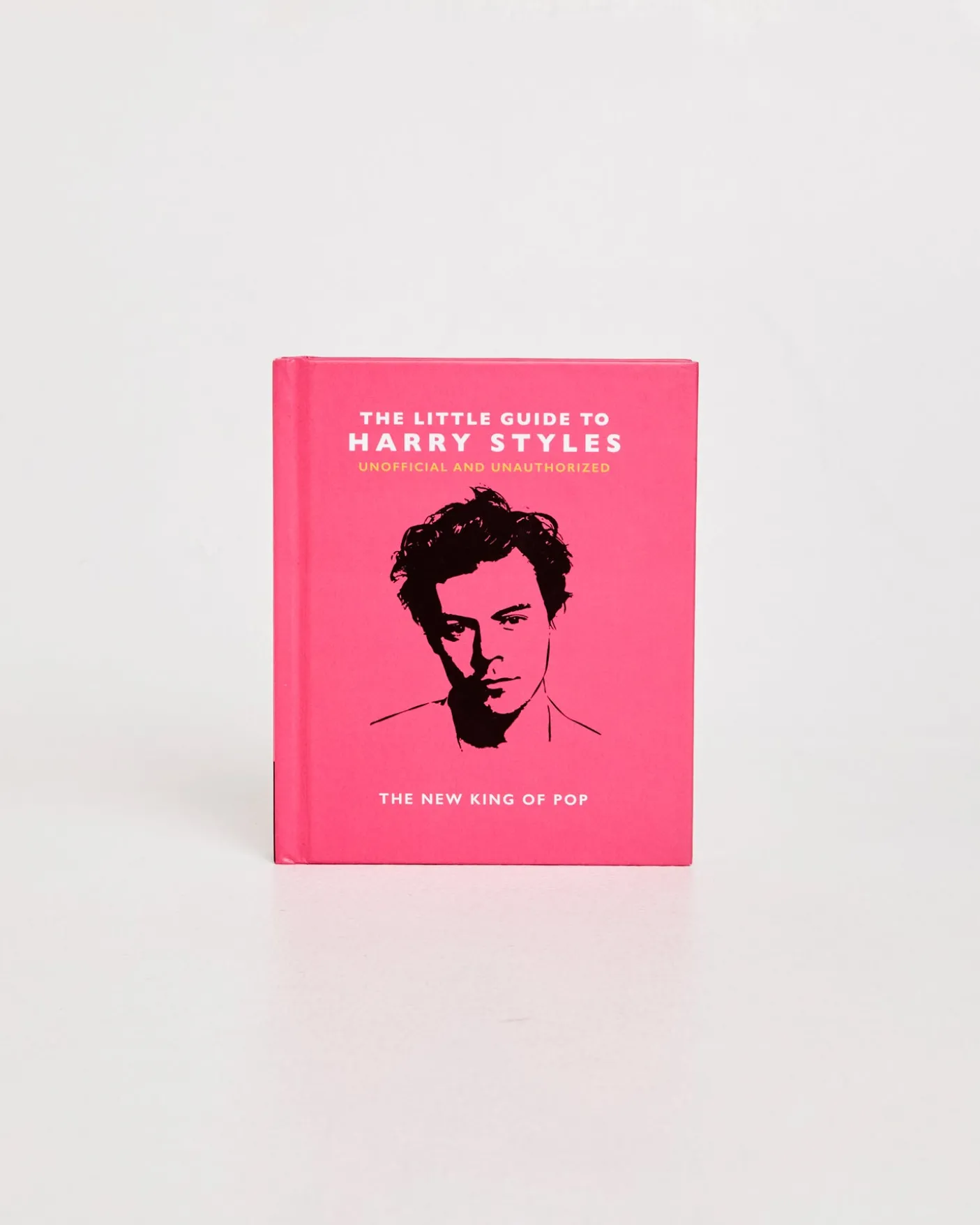Little Guide To Harry Styles Book