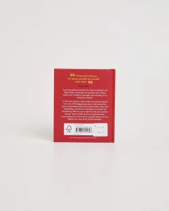 Little Guide to Taylor Swift Book