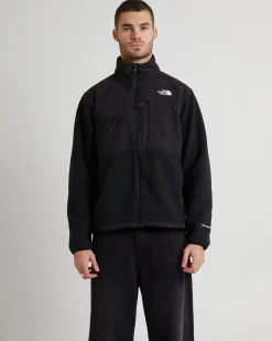 Men's Retro Denali Fleece Jacket