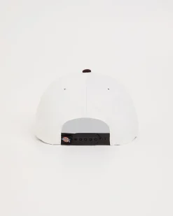 Old Salon Cap