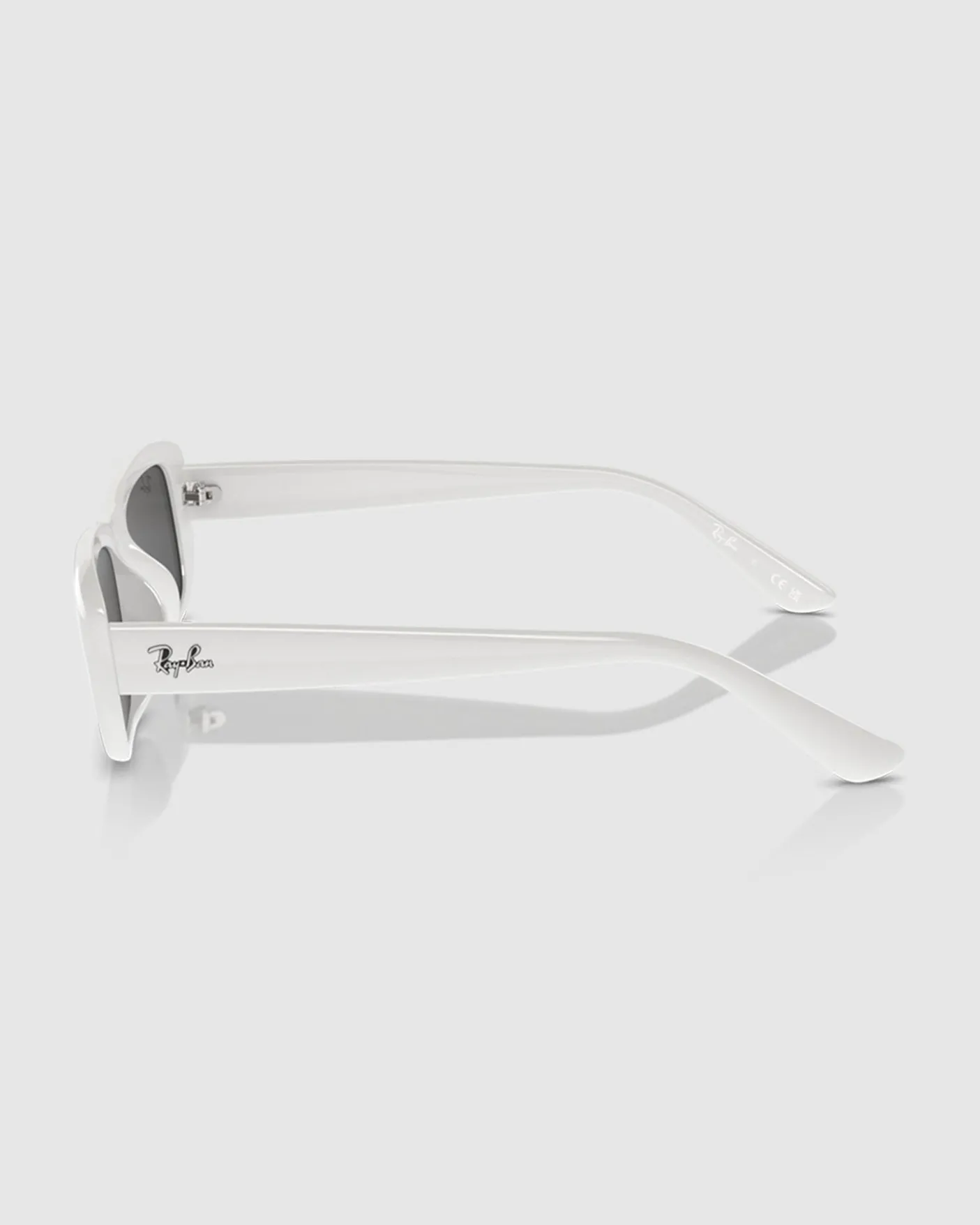 RB4436D Sunglasses