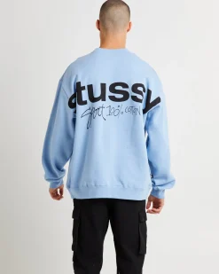 Sport 100 Fleece Crew Sweater Powder Blue