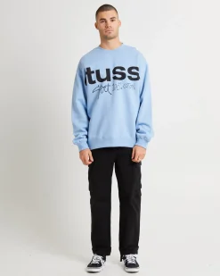 Sport 100 Fleece Crew Sweater Powder Blue