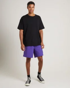 Stussy Big Stock Nylon Shorts in Purple