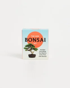 The Mini Bonsai Kit