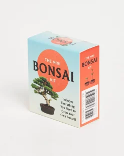The Mini Bonsai Kit